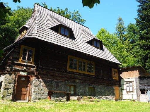 Żegnaj Maguro