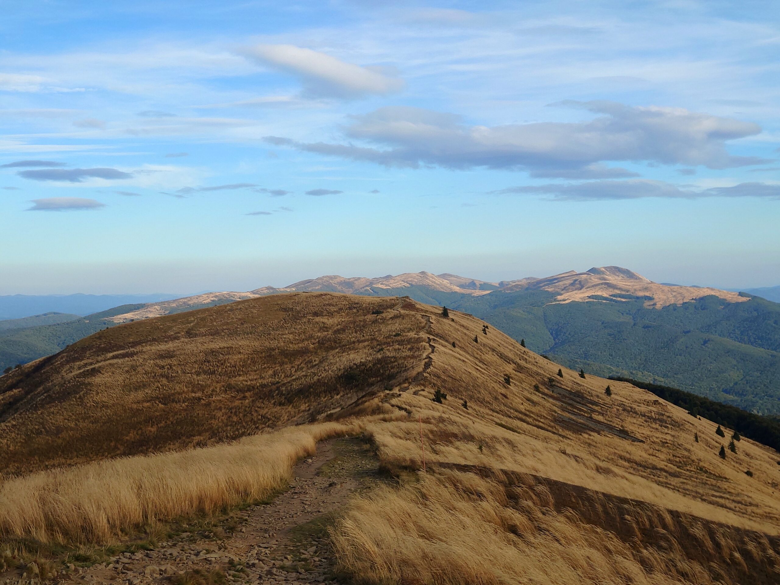 Read more about the article Bieszczady 2026